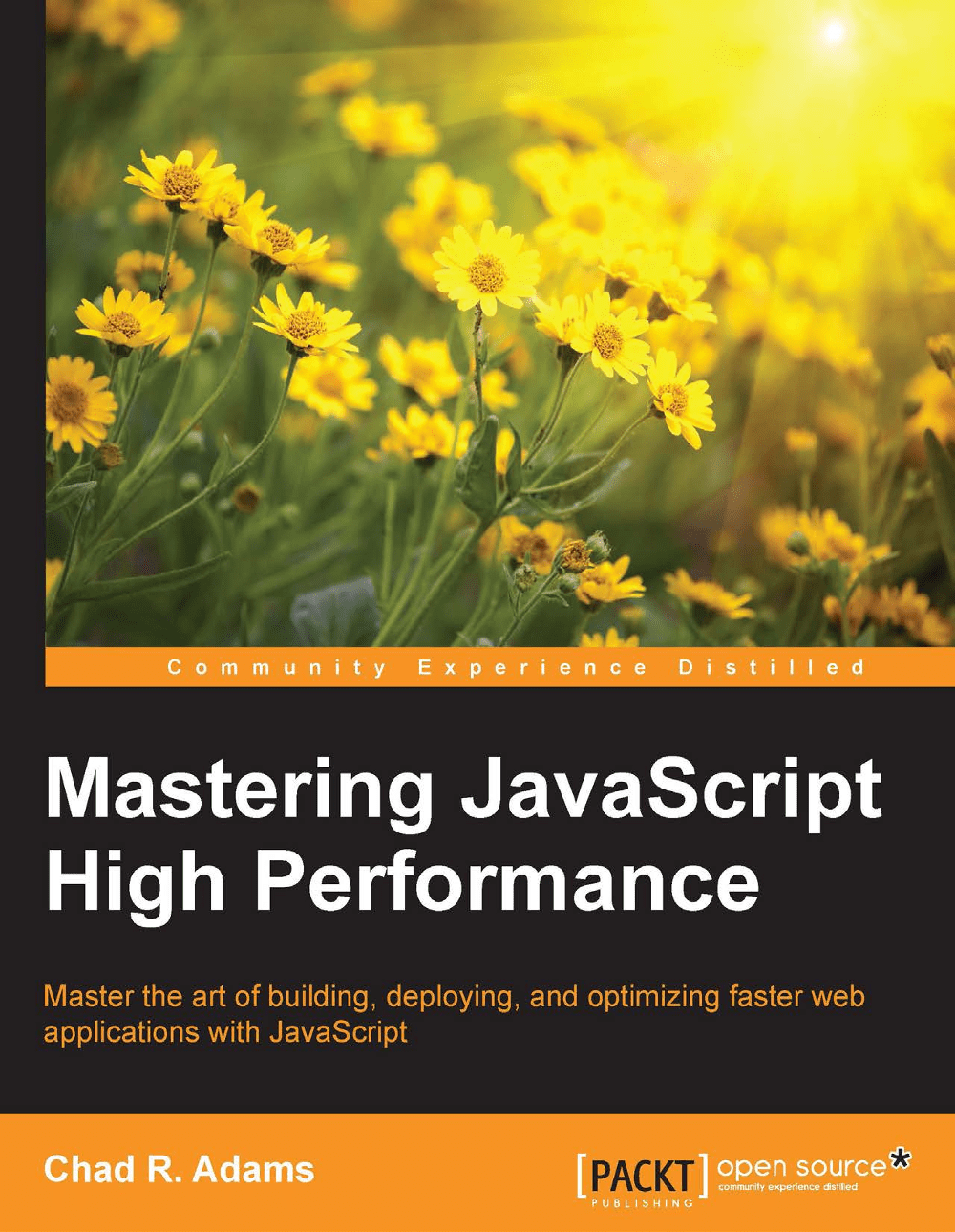 Mastering JavaScript High Performance [pdf] - Programmer Books